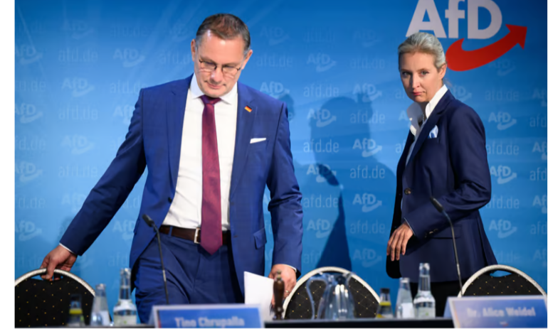 Tino Chrupalla og Alice Weidel: Medformann i AfD vil trolig være kandidaten til kansler i det føderale valget i 2025.Foto: Bernd von Jutrczenka/dpa